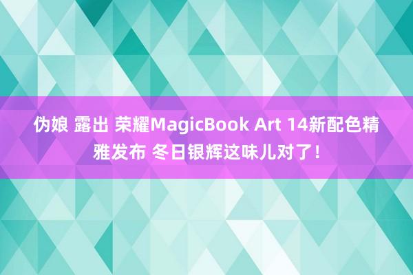 伪娘 露出 荣耀MagicBook Art 14新配色精雅发布 冬日银辉这味儿对了！