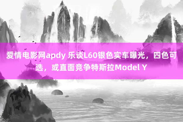 爱情电影网apdy 乐谈L60银色实车曝光，四色可选，或直面竞争特斯拉Model Y