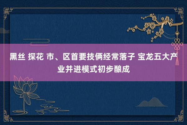 黑丝 探花 市、区首要技俩经常落子 宝龙五大产业并进模式初步酿成