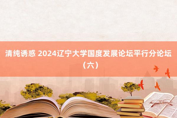 清纯诱惑 2024辽宁大学国度发展论坛平行分论坛（六）