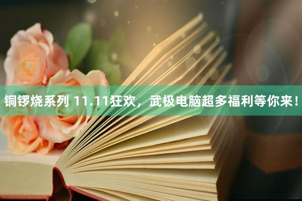 铜锣烧系列 11.11狂欢，武极电脑超多福利等你来！